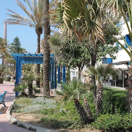 Pacifico 18