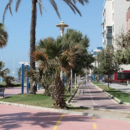 Pacifico 18 *